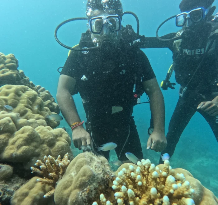 Two divers above coral heads and staghorn coral