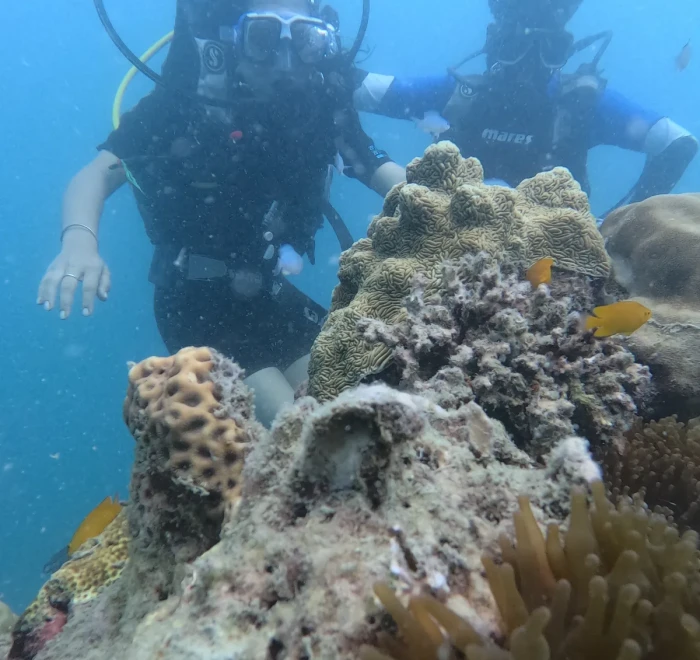 Two divers above the coral with reef fish around