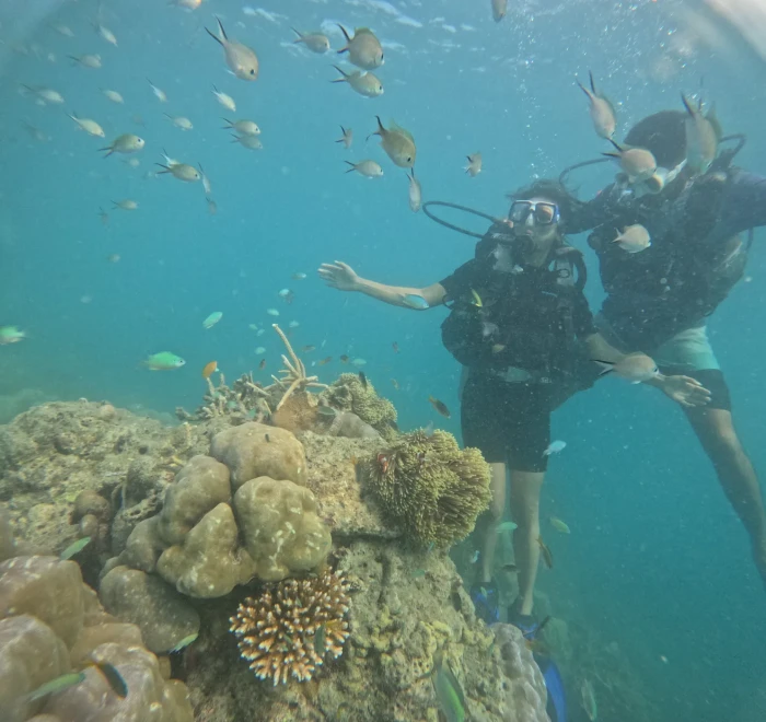 Two divers above the coral with reef fish around them