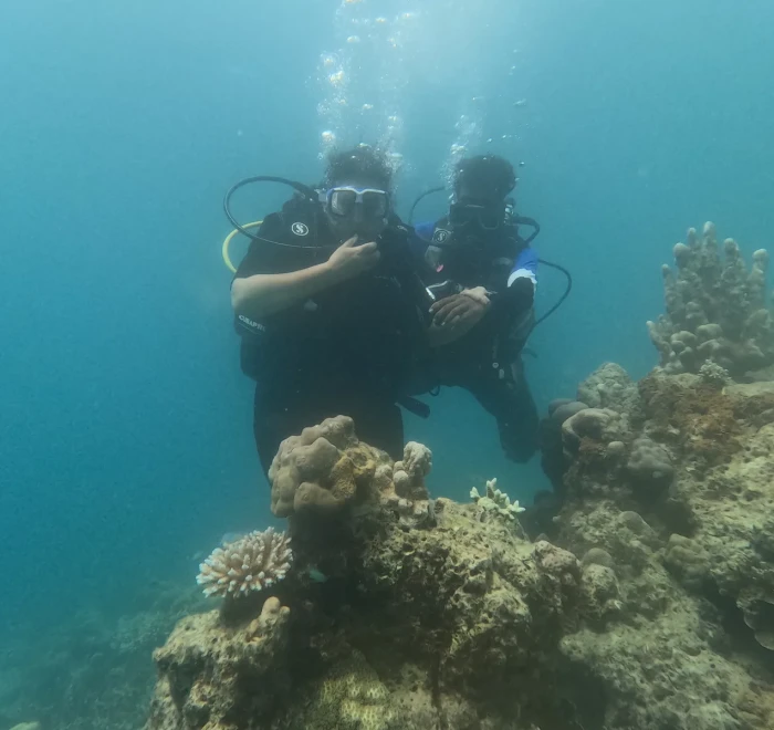 Two divers giving the OK signal above a coral head