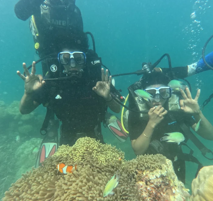 Two divers giving OK signs above a clownfish anemone