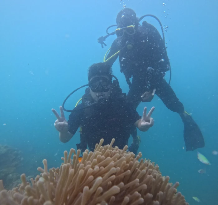 Two divers giving peace signs above a sea anemone