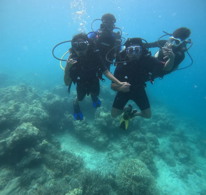 Two divers holding hands above the reef