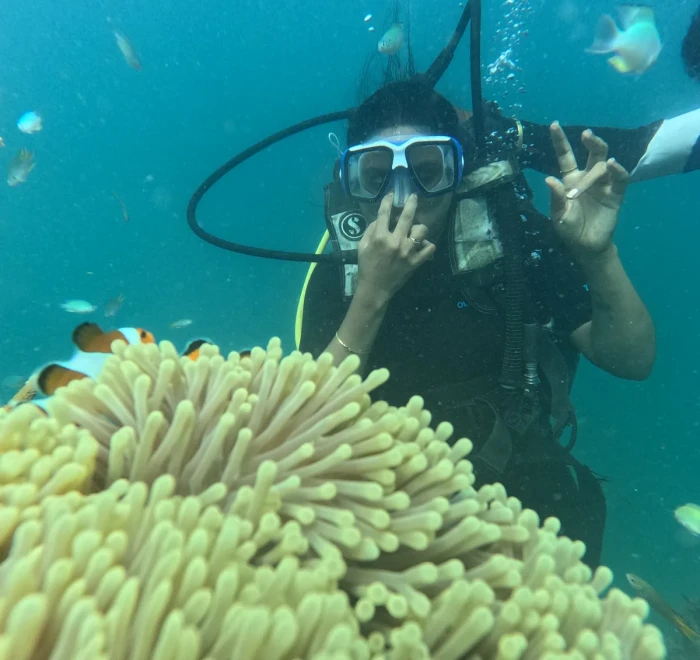 Two divers above a large sea anemone