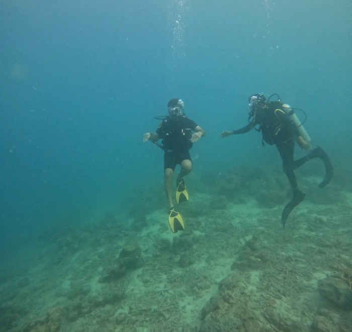 Two divers over the reef in green water off Havelock Island
