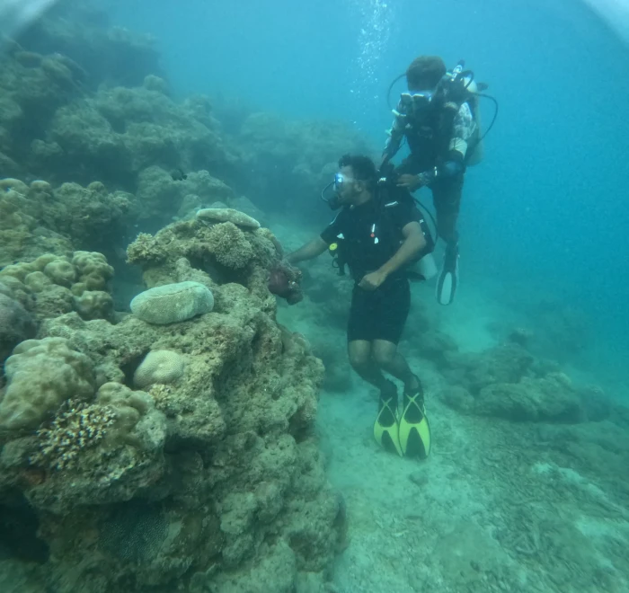 Two divers above a rocky reef in blue water