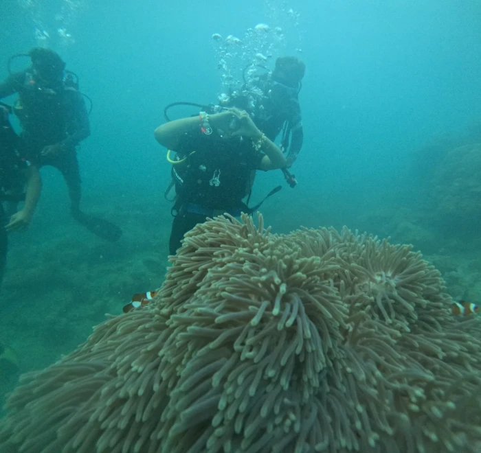Two divers behind a sea anemone on the reef