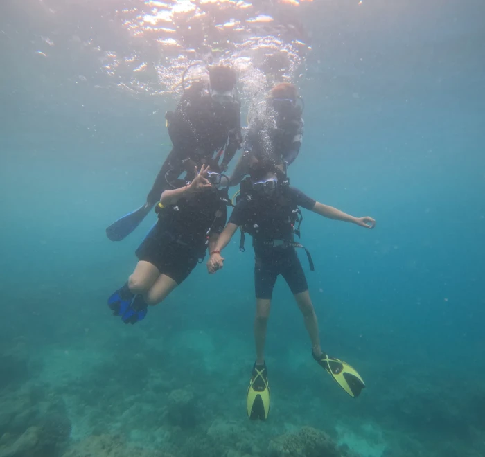 Two divers side by side above the reef
