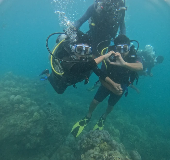 Two divers signalling to each other underwater on a guided dive