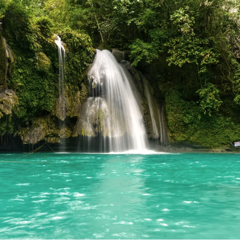Waterfall Trail in Havelock Island, Andaman