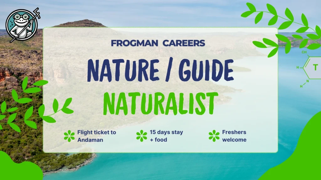 Naturalist and nature guide job at Frogman on Havelock Island: flight ticket to Andaman, 15 days stay and food, freshers welcome