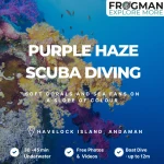 Purple Haze scuba diving package - Frogman Adventures, Havelock Island