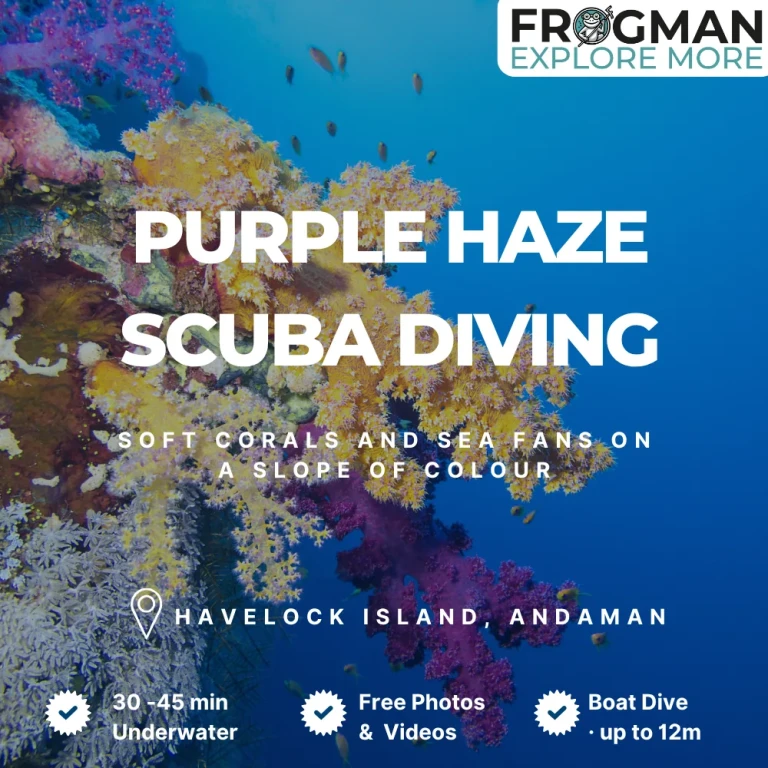 Purple Haze Scuba Diving Havelock