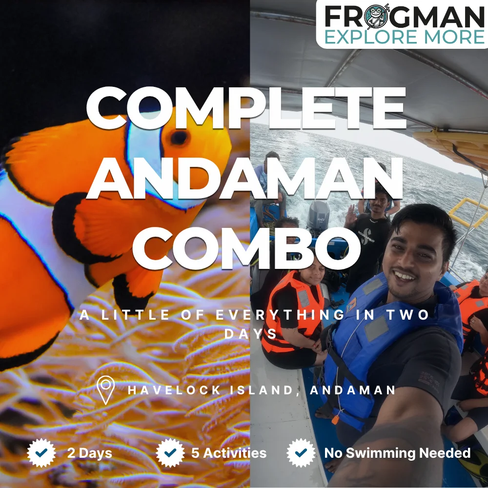 Complete Andaman Combo in Havelock: dive, snorkel, mangrove and rock-pool walks and stargazing