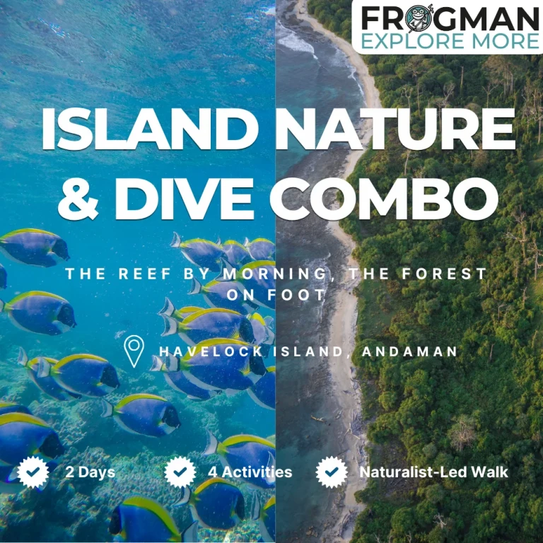 Island Nature & Dive Combo