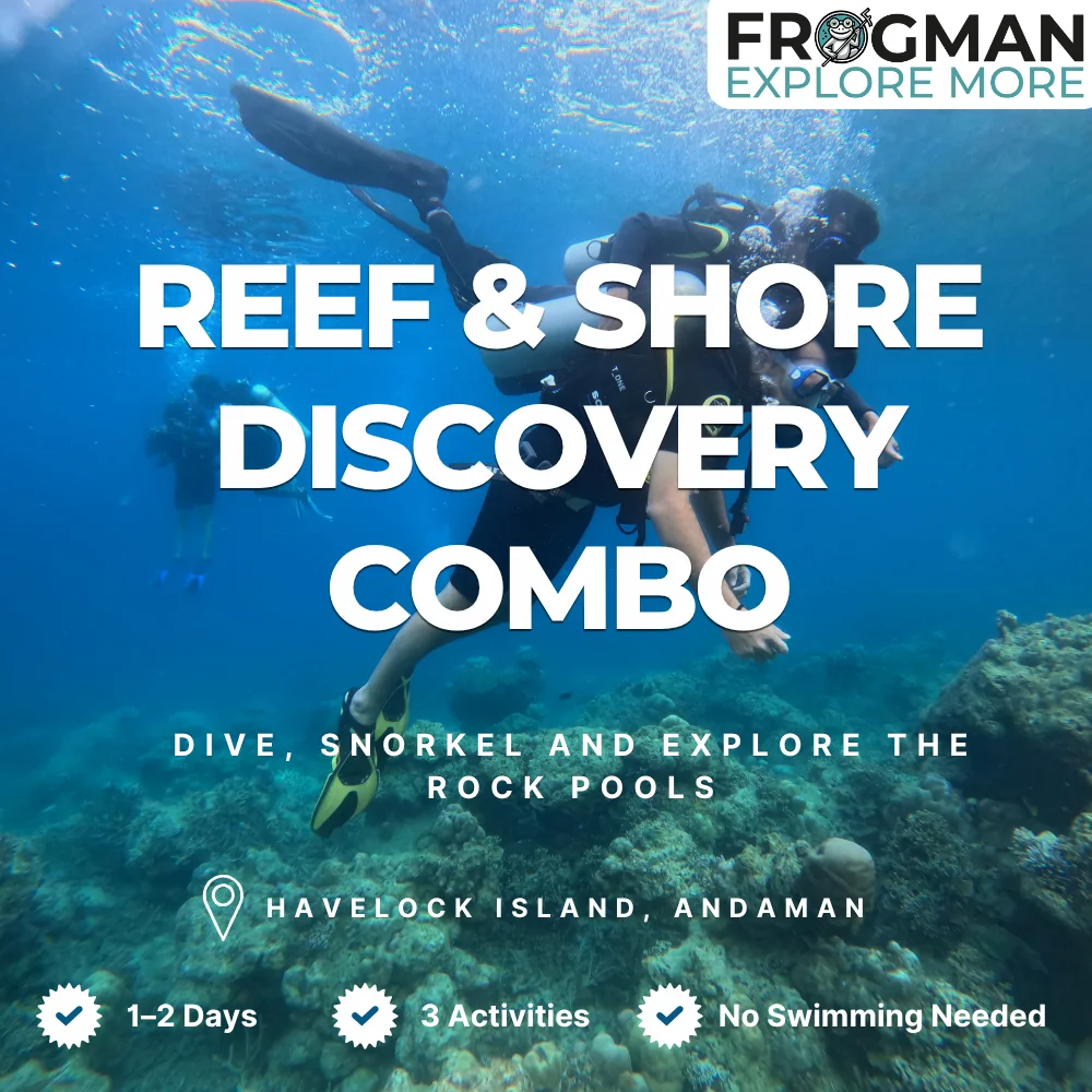 Reef & Shore Discovery Combo in Havelock: beginner boat dive, Tribe Gate snorkel and rock-pool walk