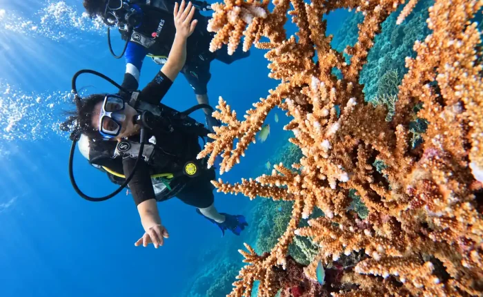 Scuba diver next to branching staghorn coral in clear blue water off Havelock Island, Andaman