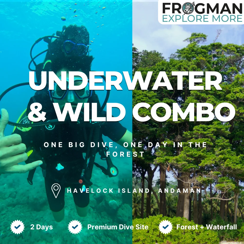 Underwater & Wild Combo in Havelock: Lighthouse boat dive, Tribe Gate snorkel, forest and waterfall trails
